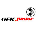 1 QEK Junior 28cm Wohnwagen IFA mobile DDR IFA Aufkleber Oldtimer Autoaufkleber 