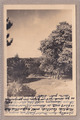 Ansichtskarte Marburg an der Lahn - Ortsansicht mit Blick zum Schloss - 1935