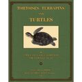 Tortoises, Terrapins, and Turtles Drawn from life by James de Carle Sowerby and 