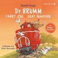 Dr. Brumm fährt Zug / Dr. Brumm geht wandern (Dr. Brumm ) Daniel Napp - Hörbuch