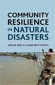 Resilienz der Gemeinschaft bei Naturkatastrophen - 9781349295852