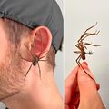 Punk-Stil Seltsames großes Spinnen-Ohr Mode Punktion Ohrringe