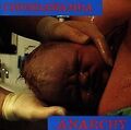 Anarchy von Chumbawamba | CD | Zustand akzeptabel