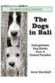 Die Hunde auf Bali: Unvergessliche Hundegeschichten aus einem fehlerhaften Paradies von Anna Stern