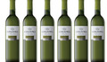 Alarije Wein aus Extremadura Bodega Coloma Spanien frische Charakteristik 6x
