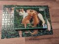 Vintage Schmidt Puzzle 280 Teile Katze Mit Jungen