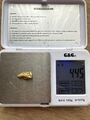 Echter Gold Nugget aus Papua New Guinea 4,45 Gramm Natürlicher Gold Nugget