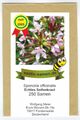 Seifenkraut - Saponaria - Bienenweide - Zier- u. Arzneipflanze - 250 Samen