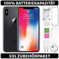 Apple iPhone X 10 - 64 256 GB - Grau Silber - 100% Batterie - Zubehörpaket