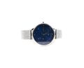 Skagen Anita Damen Armbanduhr SKW2391