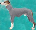 ⭐ Hundemantel Overall Polar Fleece Whippet winddicht Wettermantel Windhund ⭐ NEU