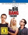 The Big Bang Theory - Die komplette erste Staffel [Blu-ray] | DVD | Zustand gut