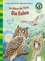 Die Eulen - Sachbuch für Kinder | Arena Verlag | Hardcover