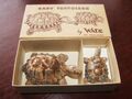 Vintage Wade Babyschildkröten in OVP