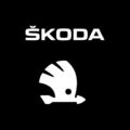Skoda Radio Code -Blaupunkt,RCD,RNS,Fabia,Octavia,Rapid,Superb | Schnell Service