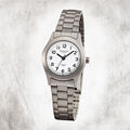 Regent Titan Damen Uhr F-855 Quarzuhr Armband grau silber URF855