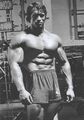280696 Arnold Schwarzenegger Bodybuilding Pop POSTER PLAKAT