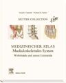 Netter Collection Muskuloskelettales System Obere Extremität