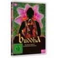 Buddha: Die Erleuchtung des Prinzen Siddharta - Box 2 (DVD)