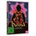 Buddha: Die Erleuchtung des Prinzen Siddharta - Box 3 (DVD)