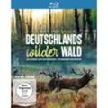 Deutschlands wilder Wald: Das geheime Leben der Rothirsche / Naturwunder Schorfheide (Blu-ray)