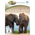 Krüger Park - Spielende Löwen, die Rettung eines Nashornbabies und Tanzen als Protestaktion (DVD)