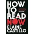 How to Read Now - Elaine Castillo, Taschenbuch