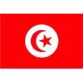XXL Flagge Tunesien 250 x 150 cm
