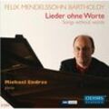 Lieder Ohne Worte - Michael Endres. (CD)
