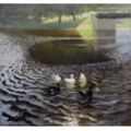 Kunstdruck Ducks Johans Valters Enten Teich Fluß Brücke Tiere Wasser Vögel B A3 0