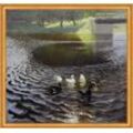 Kunstdruck Ducks Johans Valters Enten Teich Fluß Brücke Tiere Wasser Vögel B A2 0