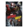 Close Up Poster Ant-Man and The Wasp