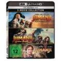 Jumanji (1995) / Jumanji: Willkommen im Dschungel / Jumanji: The Next Level (4K Ultra HD) (Blu-ray)