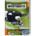 Invertebrates - Chris Lukhaup, Reinhard Pekny, Kartoniert (TB)