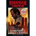 Stranger Things: Darkness on the Edge of Town - Adam Christopher, Kartoniert (TB)