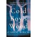 Cold Boy's Wood - Carol Birch, Kartoniert (TB)