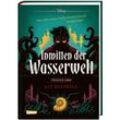 Inmitten der Wasserwelt (Arielle) / Disney - Twisted Tales Bd.6 - Liz Braswell, Walt Disney, Gebunden