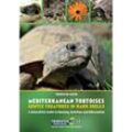 Mediterranean Tortoises: Gentle Creatures in Hard Shells - Thorsten Geier, Kartoniert (TB)