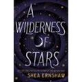A Wilderness of Stars - Shea Ernshaw, Kartoniert (TB)