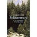 Schneesturz - Der Fall des Königenhofs - Julia Heinecke, Kartoniert (TB)