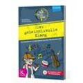 Der geheimnisvolle Klang - Ronald Hild, Kartoniert (TB)