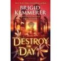 Destroy the Day - Brigid Kemmerer, Kartoniert (TB)