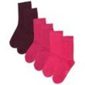 ewers - Socken ESSENTIAL 6er-Pack in pflaume/phlox/himbeere, Gr.23-26