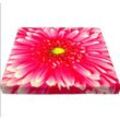 Mars&more - Stuhlkissen - Sitzkissen Blume Gerbera rosa - ca 40 x 40 x 3 cm Kissen