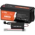 12V200Ah plus LiFePO4 Batterie & 12V 20A Lithium Batterieladegerät (Zwei Pakete werden separat versendet) - Litime