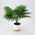 Grüne künstliche Palmenpflanze 40x35cm