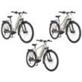 FISCHER E-Bike ATB »Terra 4.0i«, 29 Zoll