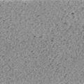 VORWERK Teppichboden "Veloursteppich Passion 1021 (Bingo)" Teppiche Wohnzimmer, Schlafzimmer, Kinderzimmer, Breite 400500 cm Gr. B/L: 400 cm x 550 cm, 6,6 mm, 1 St., grau Teppichboden