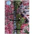 Michael Storrings Cherry Blossoms 1000 Piece Puzzle,