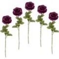 Kunstblume Rose, I.GE.A., Höhe 68 cm, 5er Set, lila
